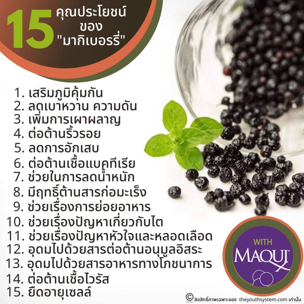 3 ประสานต้านความชรา, นวัตกรรมผลไม้, มากิเบอร์รี่