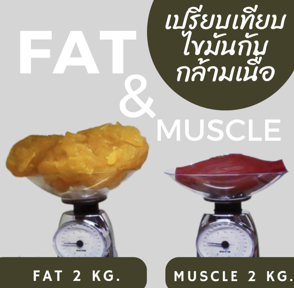 เปลี่ยนร่าง, ฟิตให้เเฟิร์ม, ฟิต
